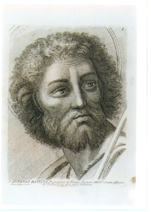 TESTA DI SAN GIOVANNI BATTISTA (stampa) di Sanzio Raffaello detto Raffaello, Fidanza Paolo (sec. XVIII)