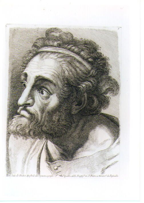 TESTA DI APOSTOLO (stampa) di Sanzio Raffaello detto Raffaello (CERCHIA), Fidanza Paolo (sec. XVIII)