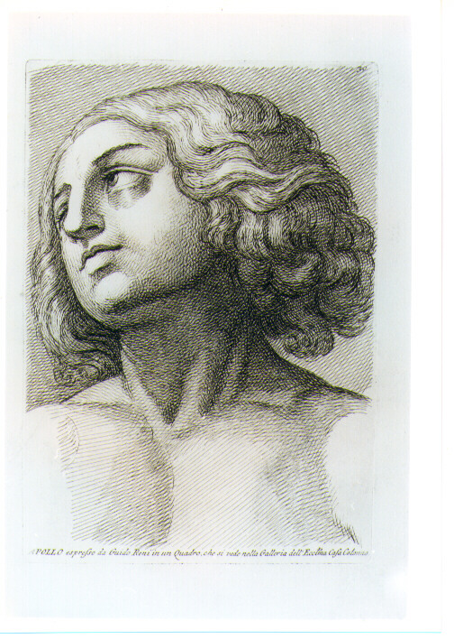 TESTA DI APOLLO (stampa) di Reni Guido (CERCHIA), Fidanza Paolo (sec. XVIII)