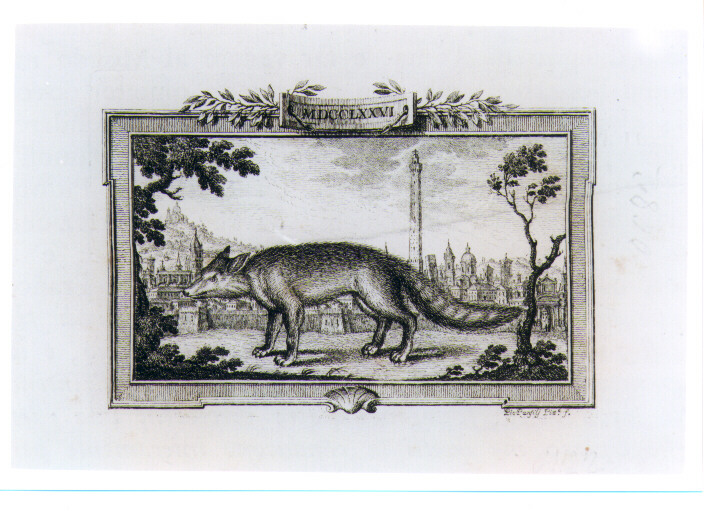 VOLPE CON VEDUTA DI BOLOGNA (stampa) di Panfili Pio (sec. XVIII)