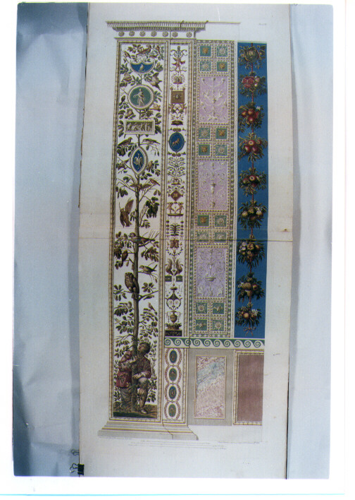 FIANCO DI UN PILASTRO DELLE LOGGE DI RAFFAELLO IN VATICANO CON ELEMENTI DECORATIVI E GROTTESCHE (stampa colorata a mano) di Sanzio Raffaello detto Raffaello, Ottaviani Giovanni, Camporesi Pietro, Savorelli Gaetano (sec. XVIII)