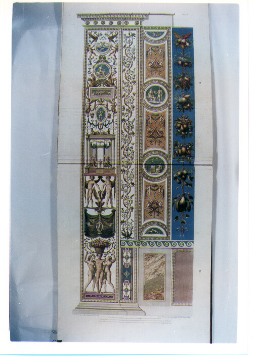 FIANCO DI UN PILASTRO DELLE LOGGE DI RAFFAELLO IN VATICANO CON ELEMENTI DECORATIVI E GROTTESCHE (stampa colorata a mano) di Sanzio Raffaello detto Raffaello, Ottaviani Giovanni, Camporesi Pietro, Savorelli Gaetano (sec. XVIII)