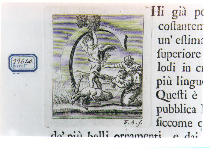 CAPOLETTERA C CON CIPARISSO (stampa) di Allegrini Francesco (sec. XVIII)
