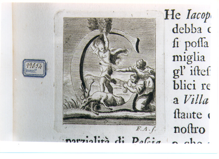 CAPOLETTERA C CON CIPARISSO (stampa) di Allegrini Francesco (sec. XVIII)