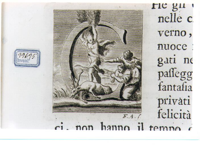 CAPOLETTERA C CON CIPARISSO (stampa) di Zocchi Giuseppe, Allegrini Francesco (sec. XVIII)