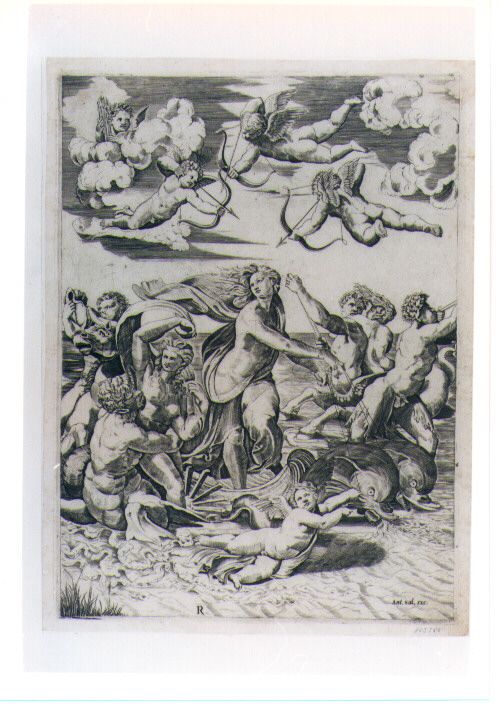 GALATEA (stampa controfondata) di Sanzio Raffaello detto Raffaello, Dente Marco detto Marco da Ravenna (sec. XVI)