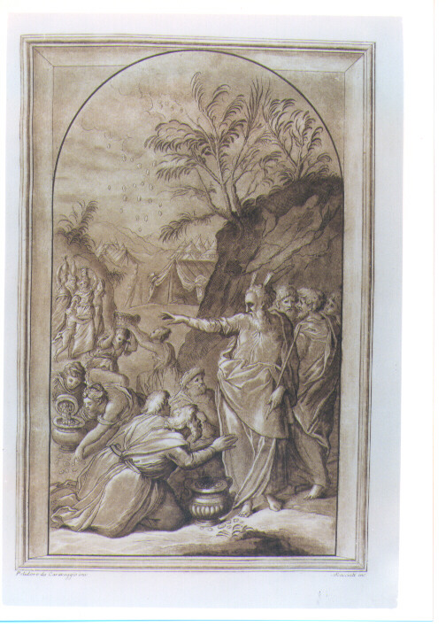 MOSE' E LA RACCOLTA DELLA MANNA (stampa a colori) di Caldara Polidoro detto Polidoro da Caravaggio, Scacciati Andrea II (sec. XVIII)