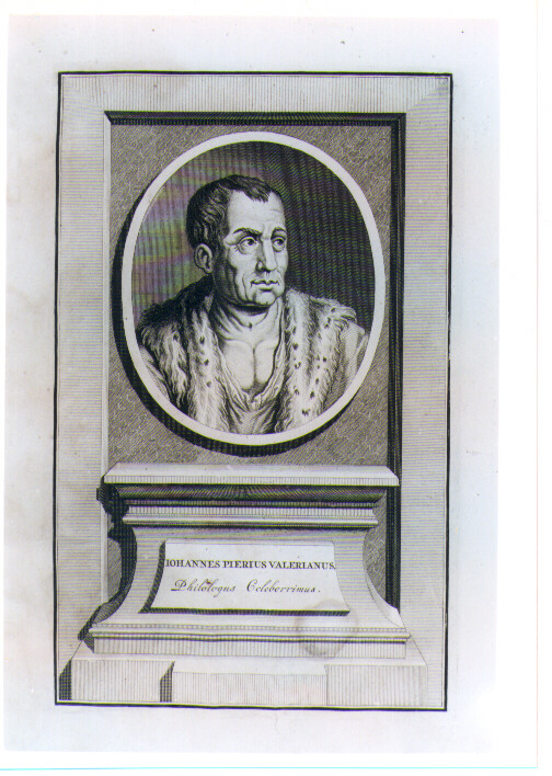 RITRATTO DI GIOVANNI PIERO VALERIANO (stampa) di Pool Matthys (CERCHIA) (sec. XVIII)