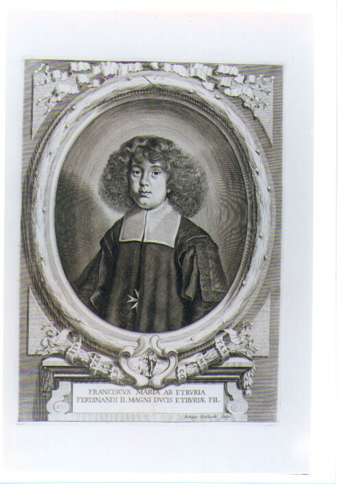 RITRATTO DI FRANCESCO MARIA GRANDUCA DI TOSCANA (stampa) di Haluech Adriano (prima metà sec. XVIII)