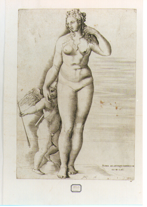 VENERE E CUPIDO (stampa controfondata smarginata) di Bertelli Ferdinando (CERCHIA), Franco Giovanni Battista detto Semolei (sec. XVI)