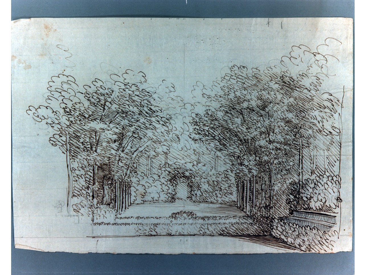 boschetto con statue (disegno) di Niccolini Antonio (sec. XIX)