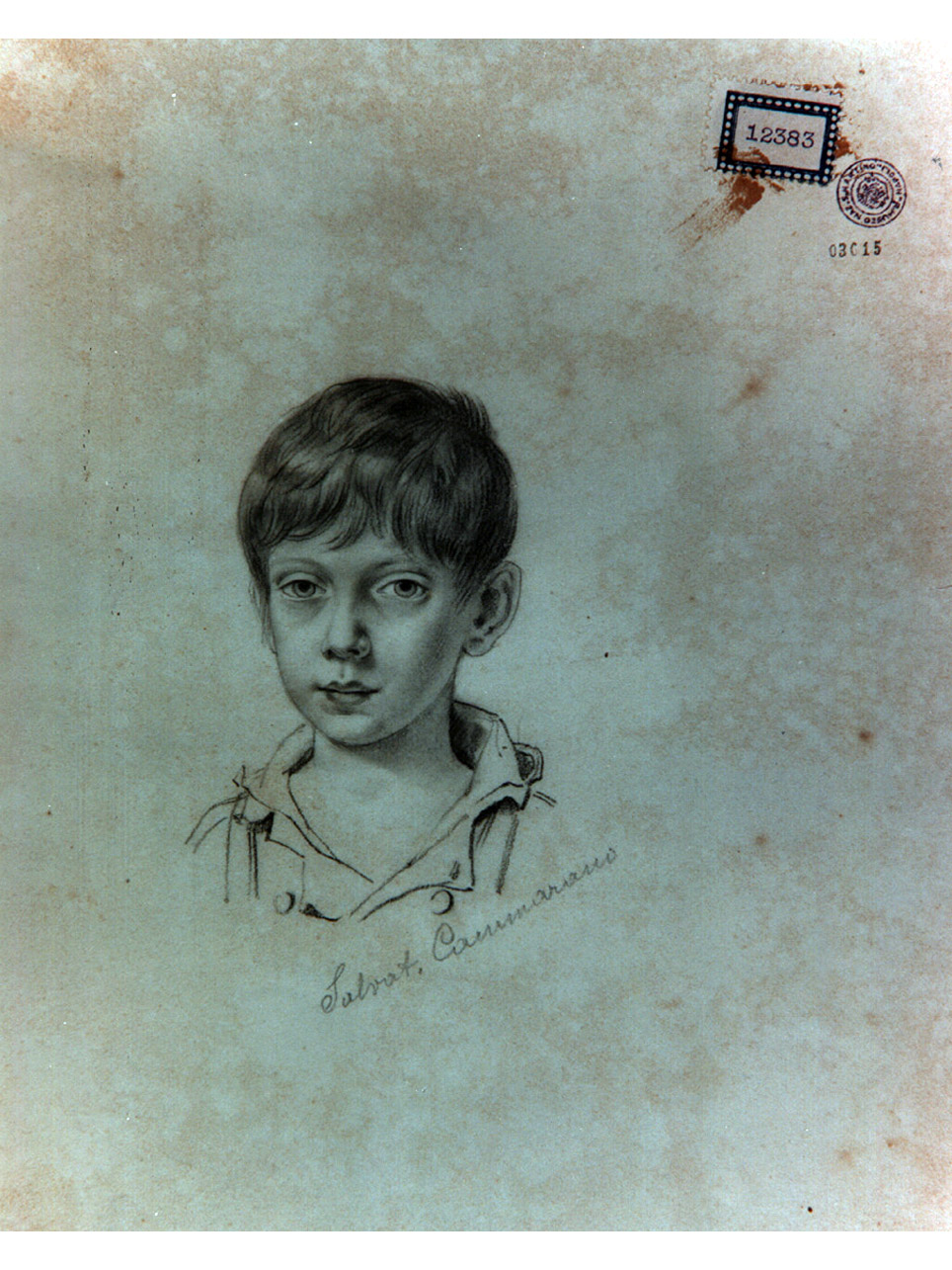 ritratto di bambino (disegno) di Cammarano Giuseppe (sec. XIX)