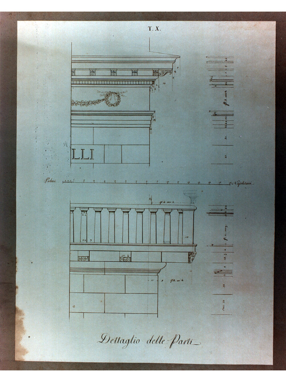 particolari decorativi (disegno, elemento d'insieme) di Niccolini Antonio (sec. XIX)