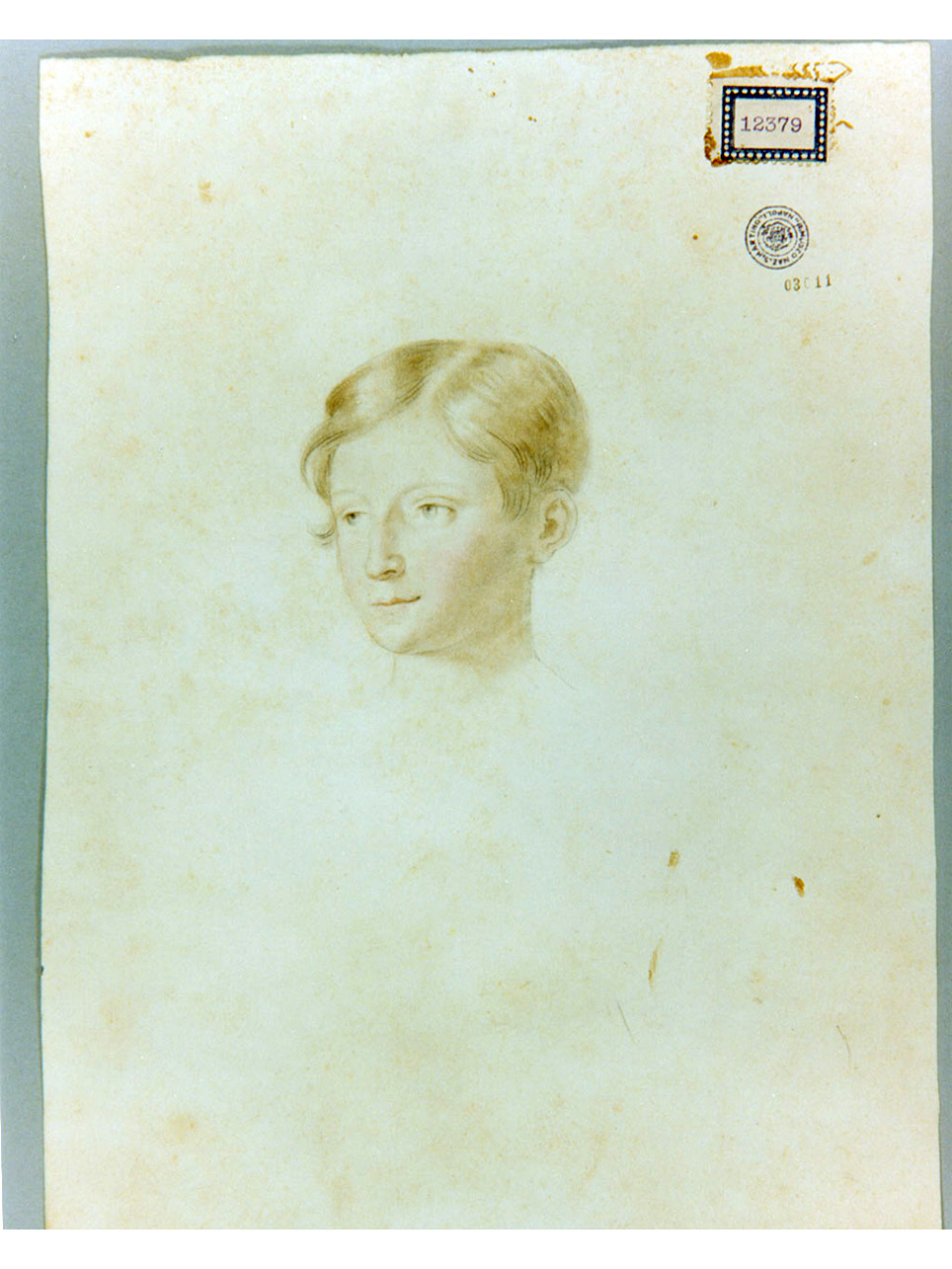 ritratto di un giovanetto (disegno) di Cammarano Giuseppe (sec. XIX)