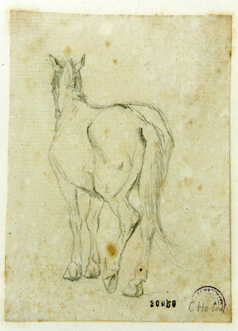 studio di cavallo (disegno) di Holm Christian Frederick Carl (sec. XIX)