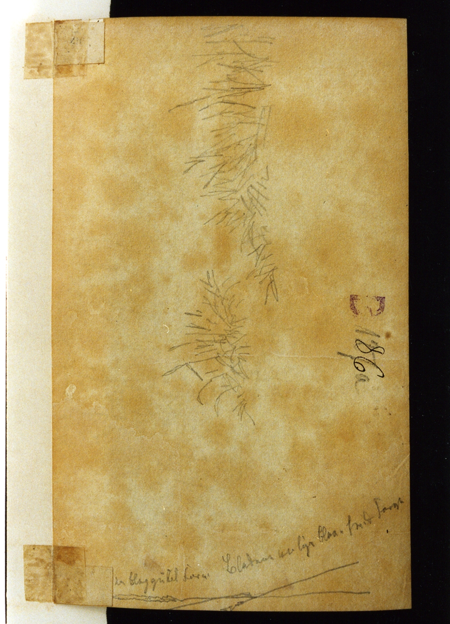 studio di giunchi (disegno) di Kobke Christen Schiellerup (sec. XIX)