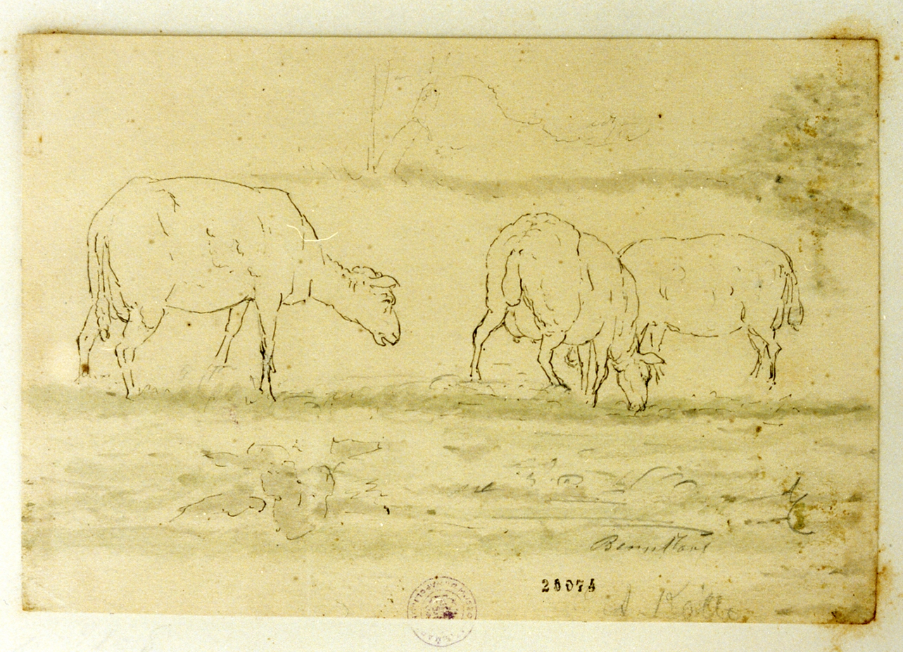 pecore (disegno) di Kolle Claus Anton (sec. XIX)