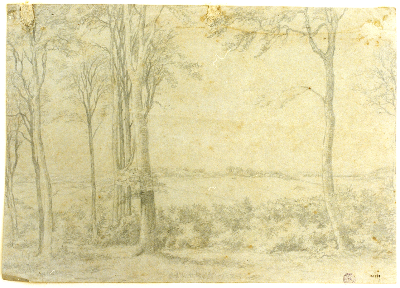 paesaggio con alberi (disegno) di Shovelin Axel Thorsen (sec. XIX)