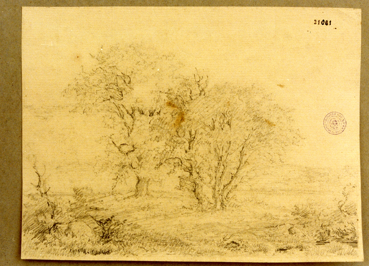 alberi (disegno) di Hellesen Julius (sec. XIX)