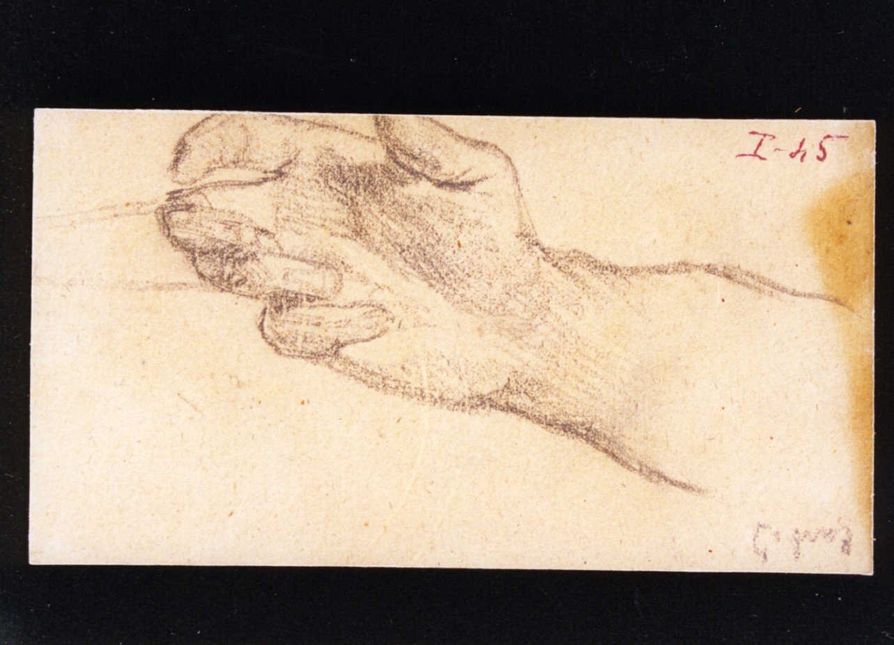 studio di mano (disegno) di Vetri Paolo (fine/inizio secc. XIX/ XX)