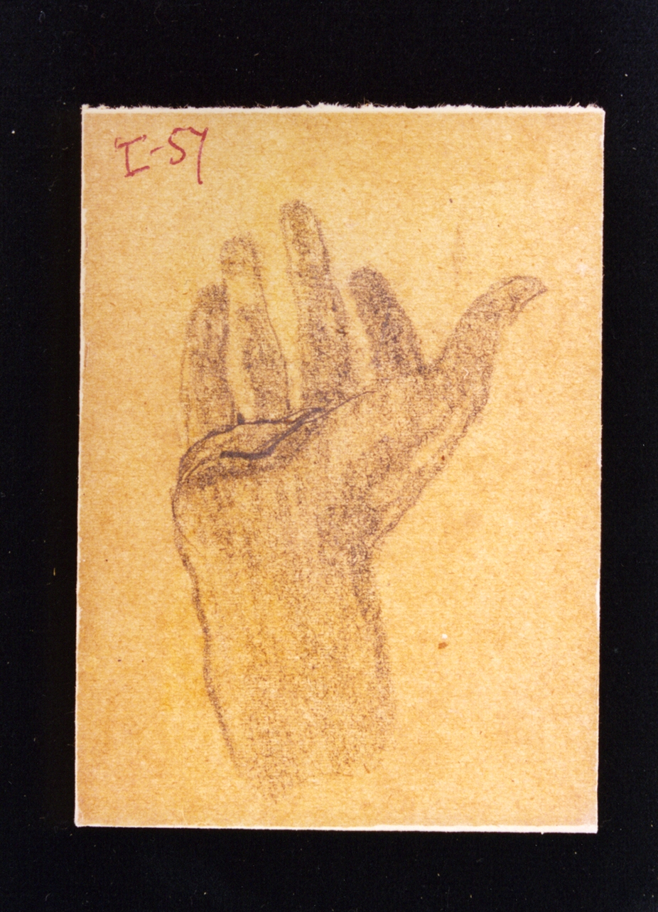 studio di mano (disegno) di Vetri Paolo (fine/inizio secc. XIX/ XX)