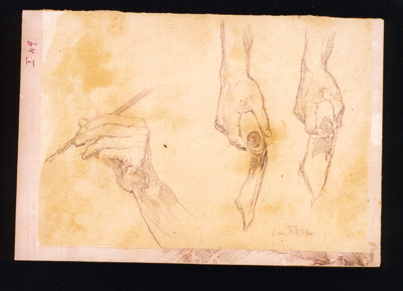 studi di mani (disegno) di Vetri Paolo (fine/inizio secc. XIX/ XX)