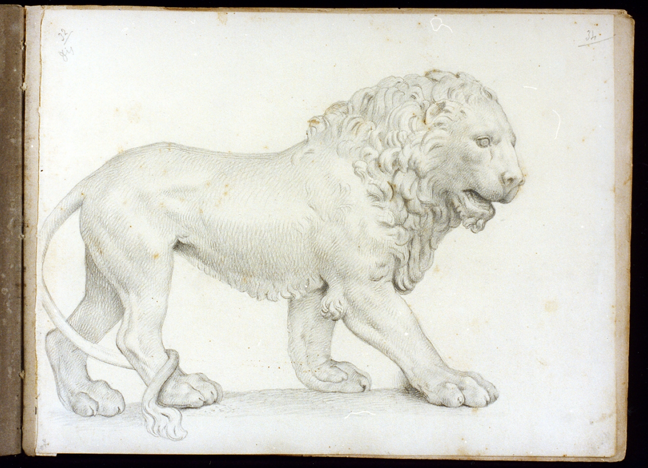 leone (disegno) di Postiglione Raffaele (ultimo quarto sec. XIX)