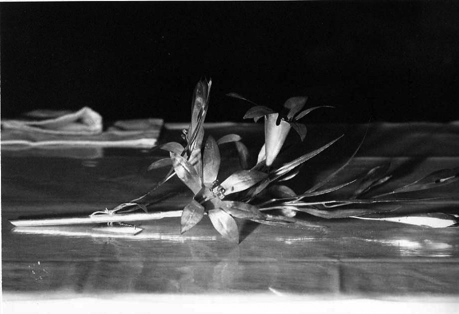 attributo iconografico di immagine sacra - bottega campana (sec. XX)