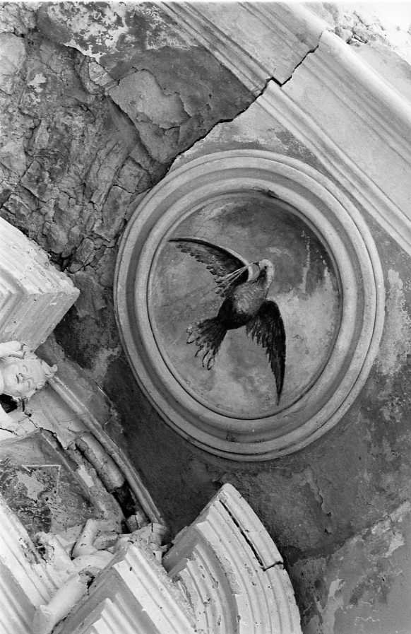 colomba dello Spirito Santo (dipinto) - ambito campano (sec. XIX)