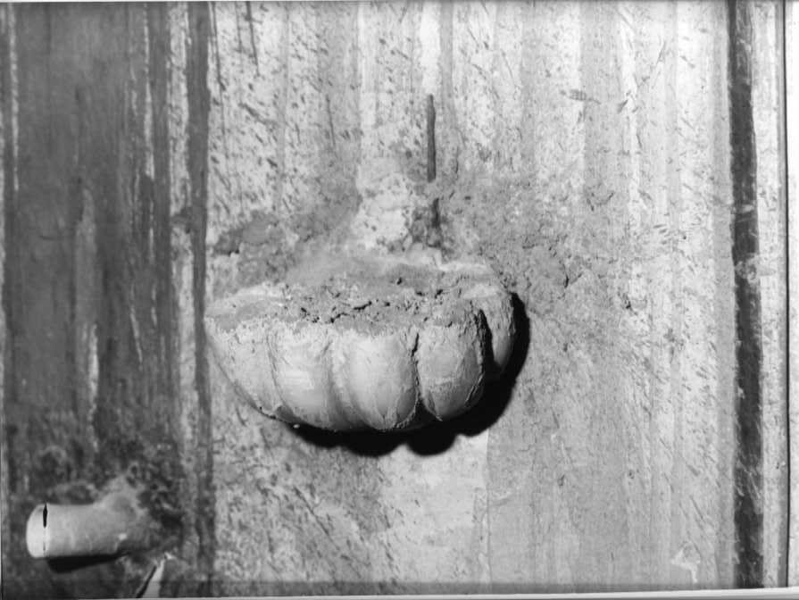 acquasantiera - a conchiglia - bottega campana (sec. XVIII)