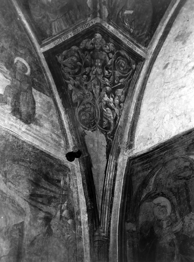 motivi decorativi vegetali (dipinto) - ambito campano (inizio sec. XV)