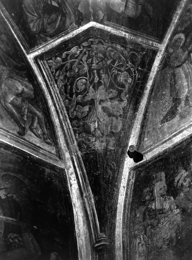 motivi decorativi vegetali (dipinto) - ambito campano (inizio sec. XV)