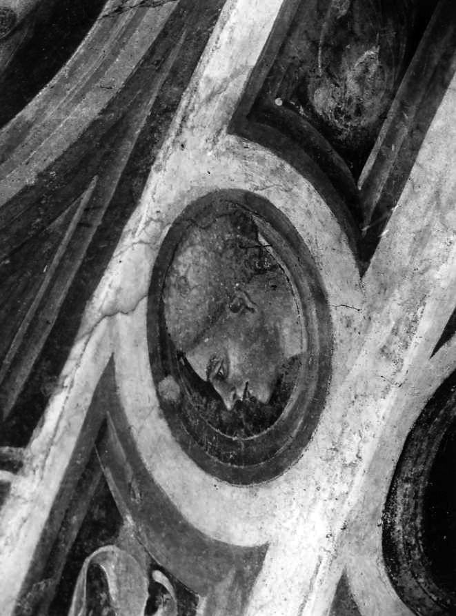 testa d'uomo di profilo (dipinto) - ambito campano (inizio sec. XV)