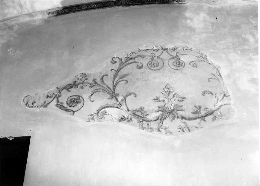 motivi decorativi floreali (decorazione pittorica, frammento) - ambito campano (fine sec. XVIII)