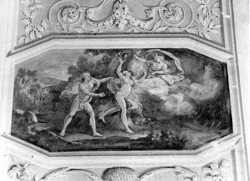 Apollo e Dafne (dipinto) di Fiaschetti Fedele (sec. XVIII)