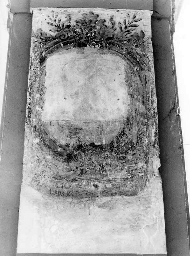 motivo decorativo fitomorfo (dipinto) - ambito campano (sec. XVIII)