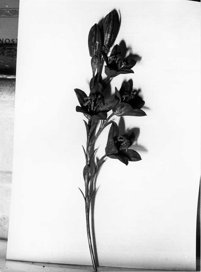 attributo iconografico di immagine sacra - bottega campana (sec. XIX)