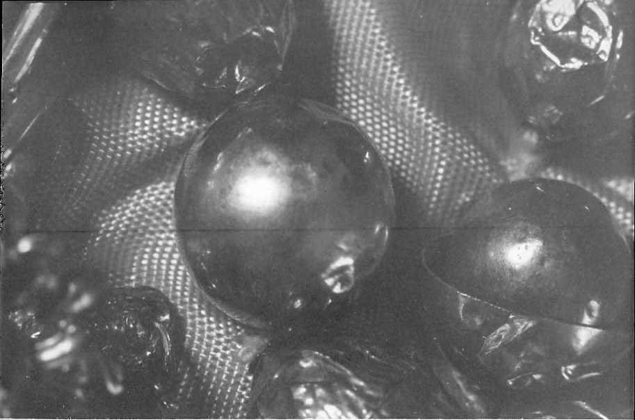 grano, serie - bottega campana (sec. XIX)