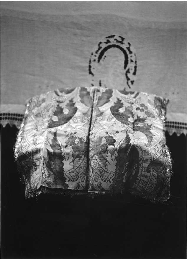 motivi decorativi floreali (velo di calice) - bottega campana (seconda metà sec. XIX)