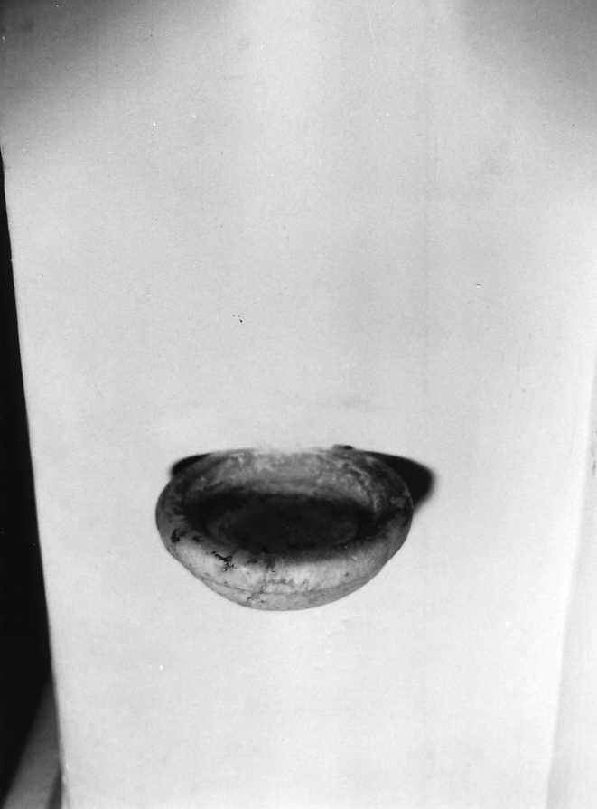 acquasantiera da parete - bottega campana (sec. XVIII)