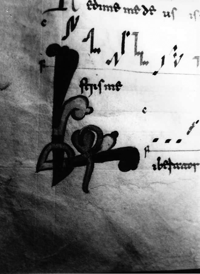 motivo decorativo fitomorfo (miniatura) - ambito cassinese (fine/inizio secc. XI/ XII)