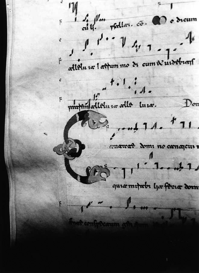 motivo decorativo zoomorfo (miniatura) - ambito cassinese (fine/inizio secc. XI/ XII)