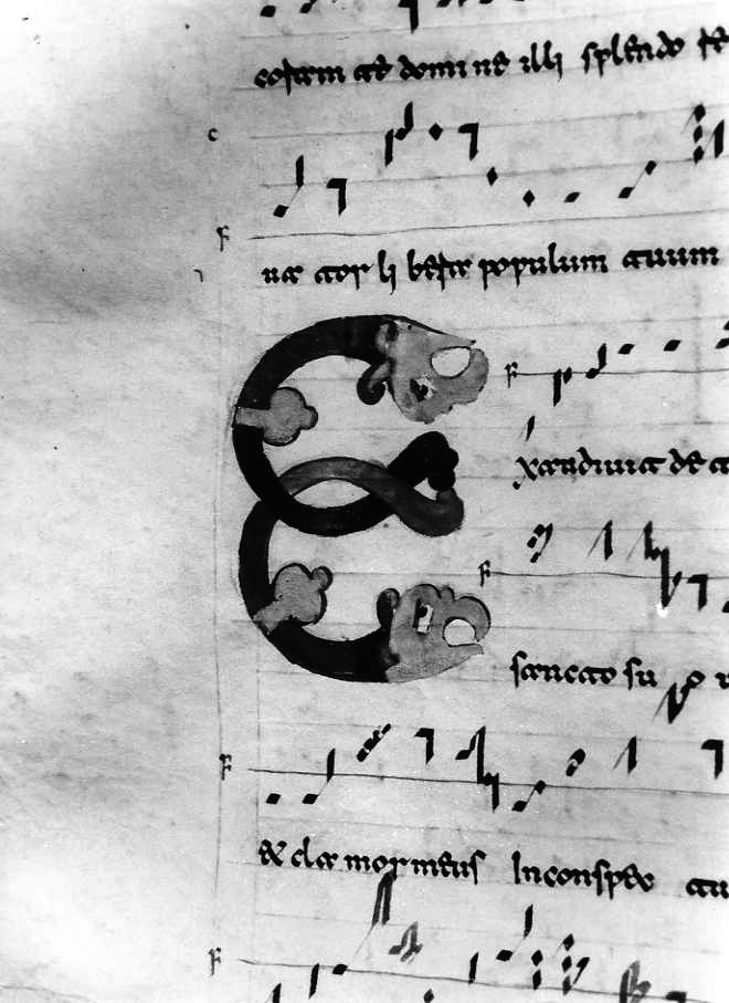 motivo decorativo zoomorfo (miniatura) - ambito cassinese (fine/inizio secc. XI/ XII)