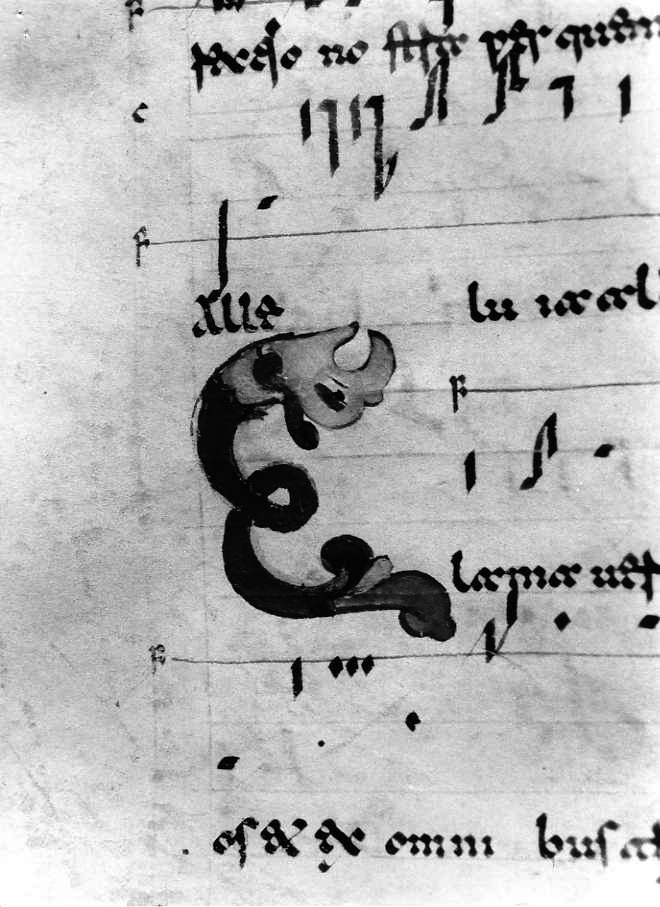 motivo decorativo zoomorfo (miniatura) - ambito cassinese (fine/inizio secc. XI/ XII)