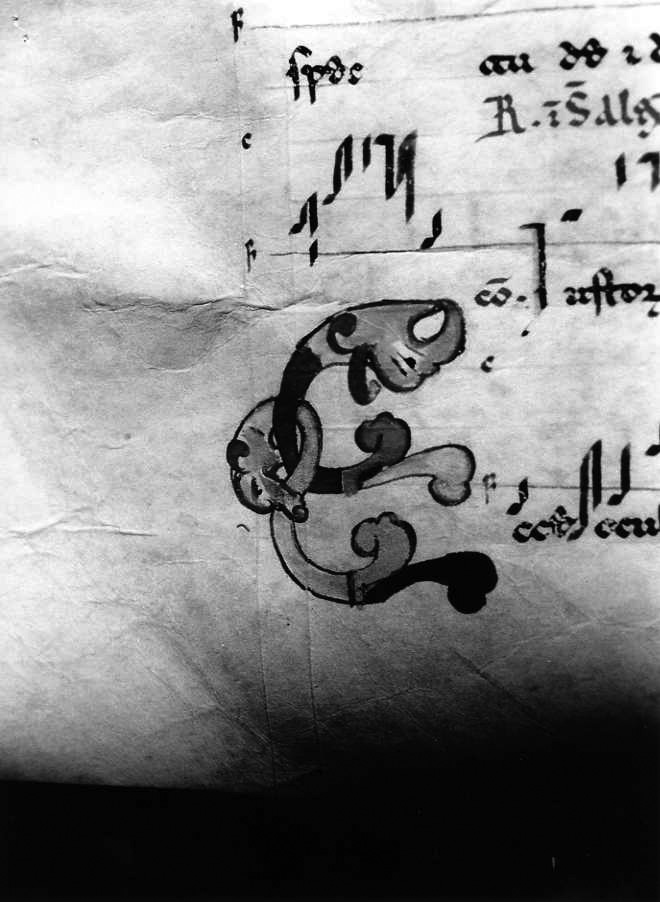 motivo decorativo zoomorfo (miniatura) - ambito cassinese (fine/inizio secc. XI/ XII)