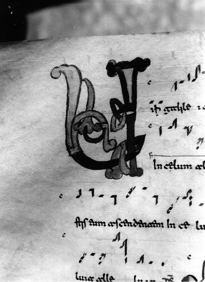 motivo decorativo fitomorfo (miniatura) - ambito cassinese (fine/inizio secc. XI/ XII)