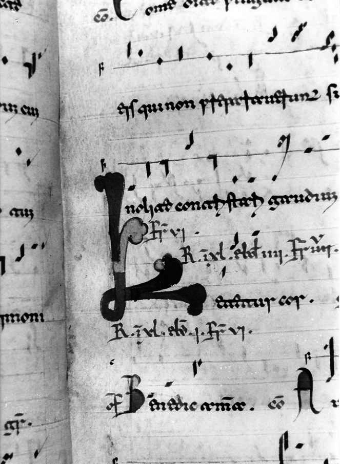 motivo decorativo a intreccio (miniatura) - ambito cassinese (fine/inizio secc. XI/ XII)