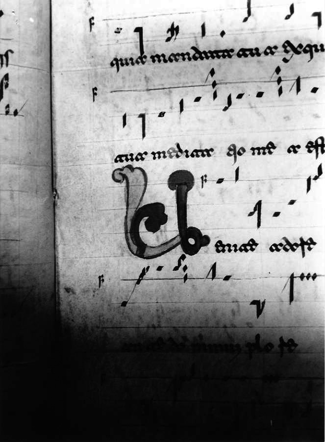 motivo decorativo a intreccio (miniatura) - ambito cassinese (fine/inizio secc. XI/ XII)