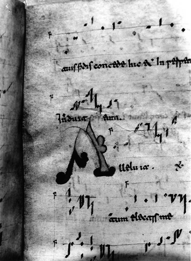 motivo decorativo (miniatura) - ambito cassinese (fine/inizio secc. XI/ XII)