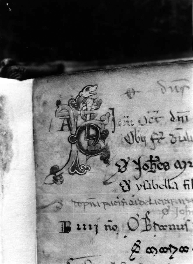 motivo decorativo zoomorfo (miniatura) - ambito cassinese (fine sec. XII)